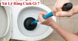 Bồn cầu bị nghẹt vải và phương án xử lý tối ưu nhất tại nh